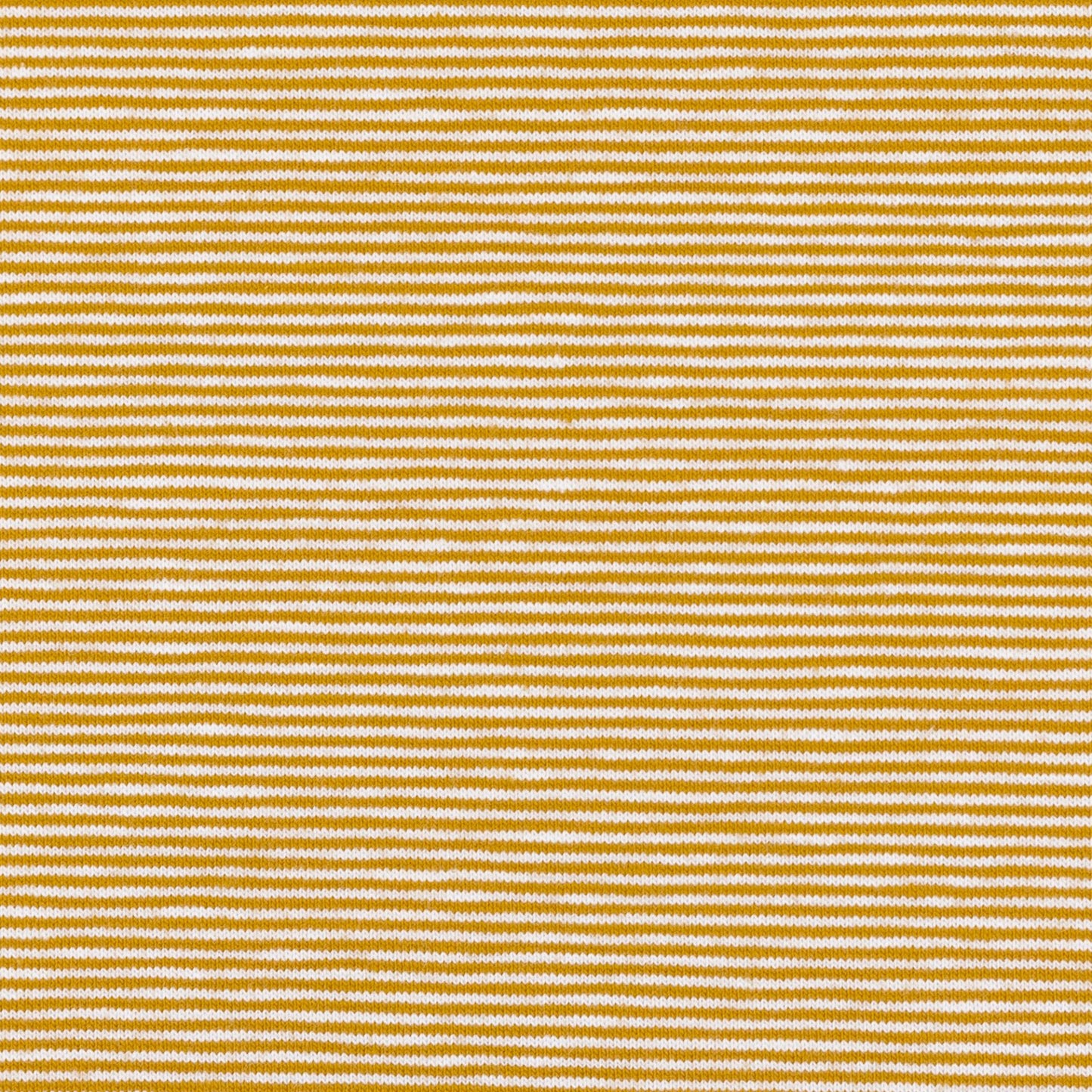 Pre order Euro Cotton Jersey Bella- Stripes - 1 mm, goldenrod/white