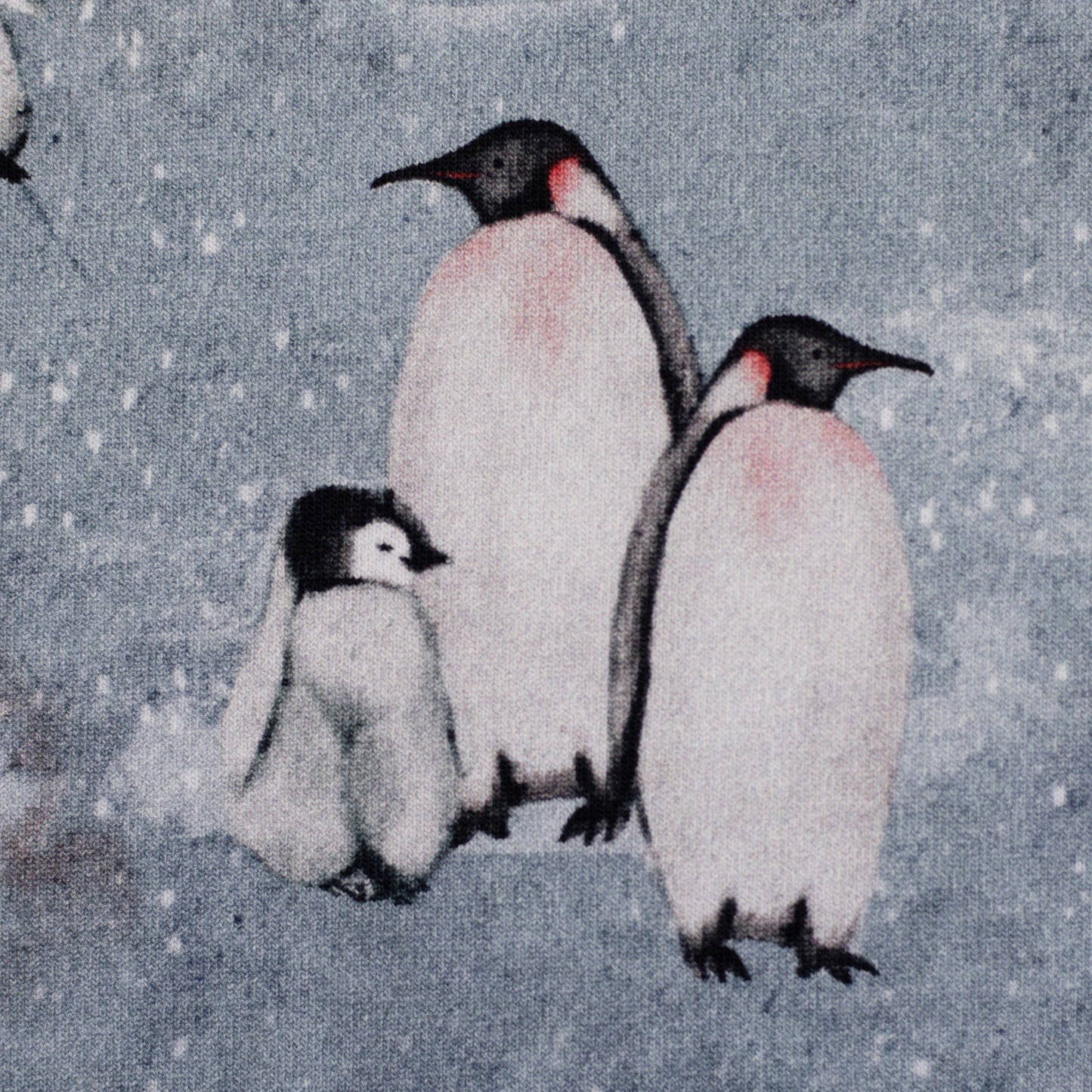 New Euro Brushed Jogging- Nordic Penguins, Light Blue