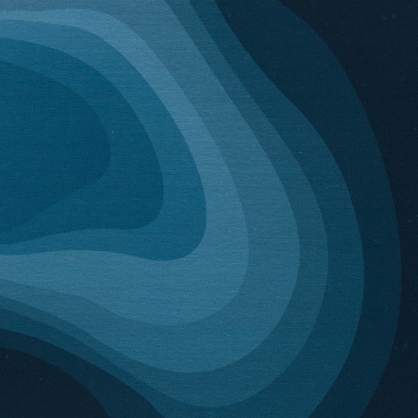 Euro Jersey Panel - California - Shapes - Blue