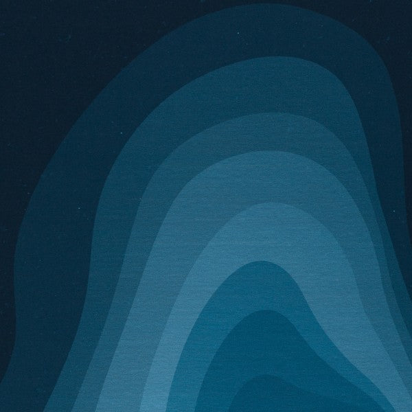 Euro Jersey Panel - California - Shapes - Blue