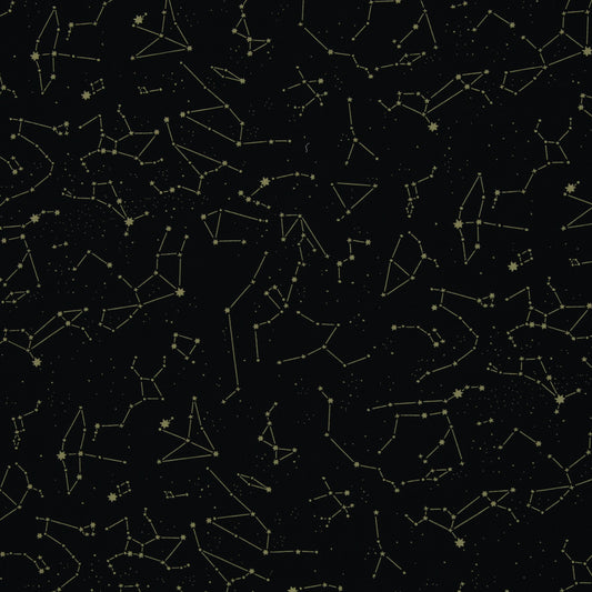 New Euro C/L Jersey-  Stars & Constellations Black/Reed Green