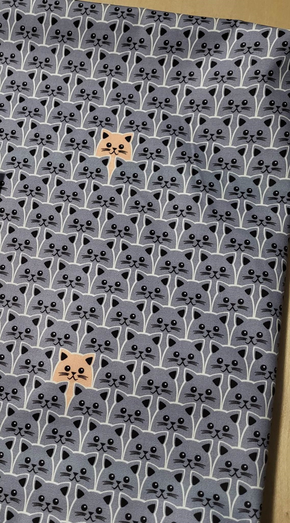 Euro Quilting - Kitties, Grey